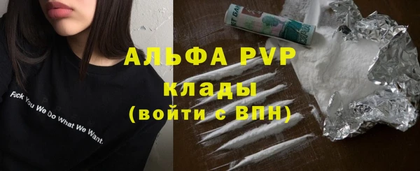 амф Балахна