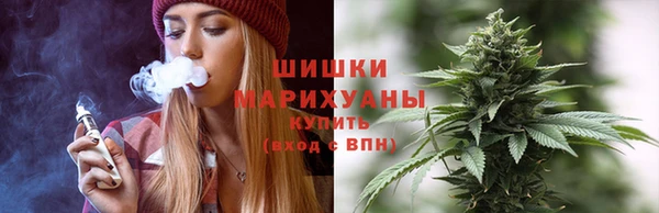 крисы Баксан
