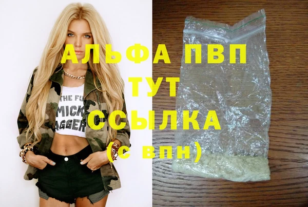 крисы Баксан