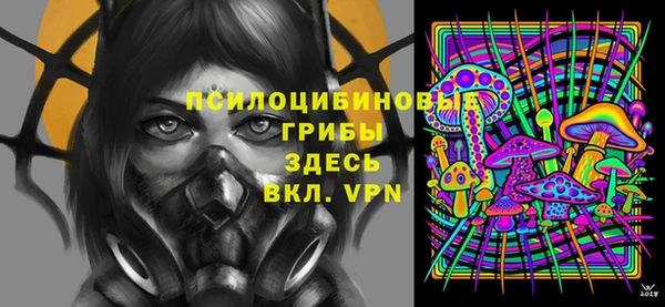 крисы Баксан