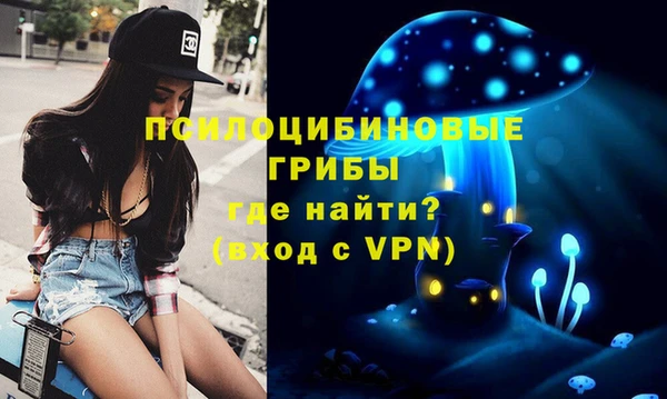 амф Балахна