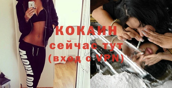 крисы Баксан