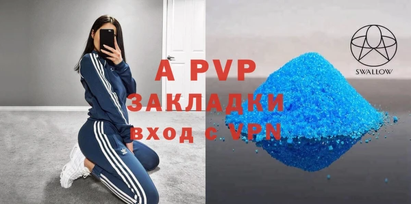 крисы Баксан