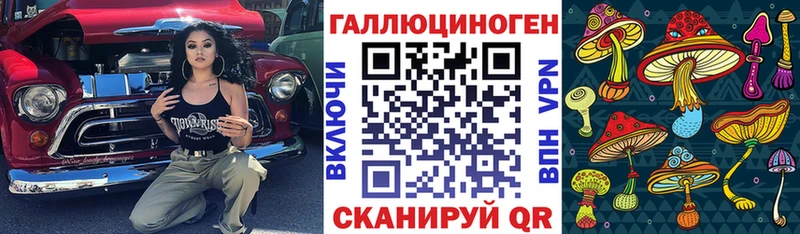 купить  сайты  Новый Оскол  Псилоцибиновые грибы Psilocybe 